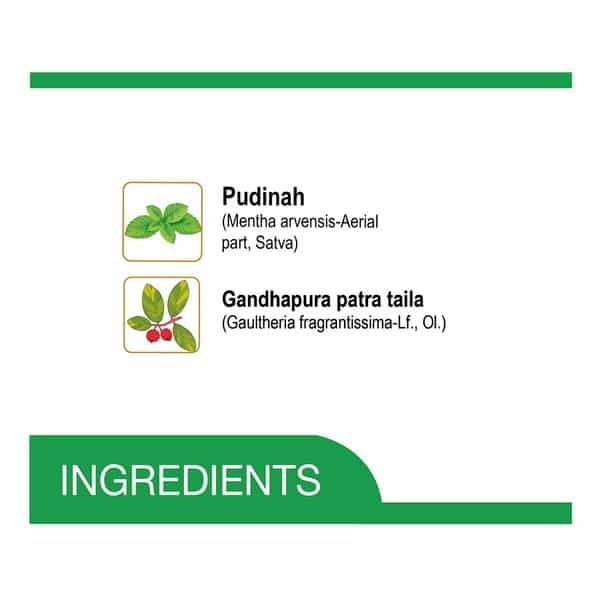 Amrutanjan | Double Power | Strong Pain Relief Balm | Bottle 50 Ml
