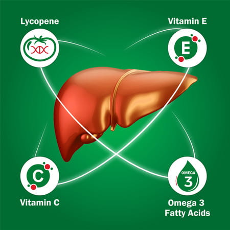 Evion L-5000 3 In 1formula For Liver Health | Hepatoprotection | Anti-Oxidant Action 15 Capsules