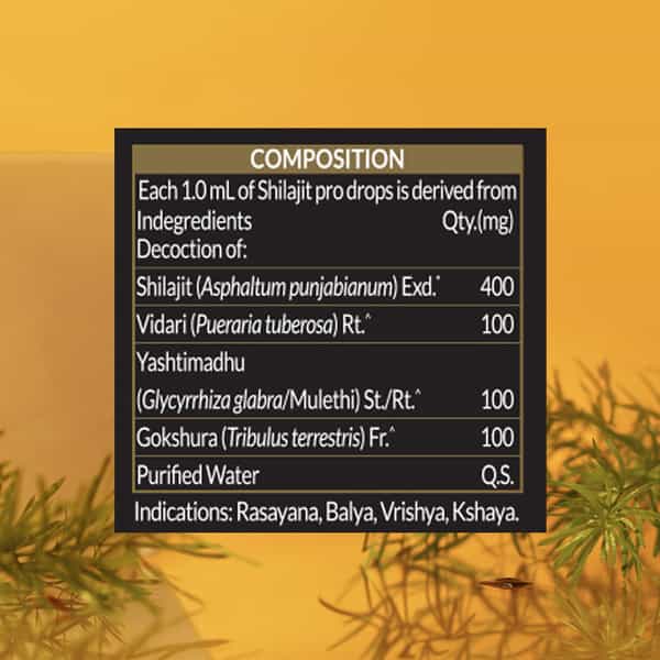 Koshaveda Shilajit Pro Drops By Muscleblaze | Shilajit Original With Gokshura - 30 Ml (Pack Of 2)
