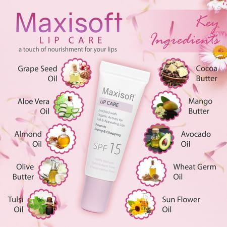 Maxisoft Lip Care Spf 15 | Drying & Chapping | 10 Gm | Pack Of 6
