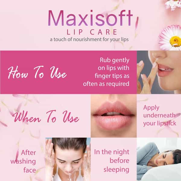 Maxisoft Lip Care Spf 15 | Drying & Chapping | 10 Gm | Pack Of 6