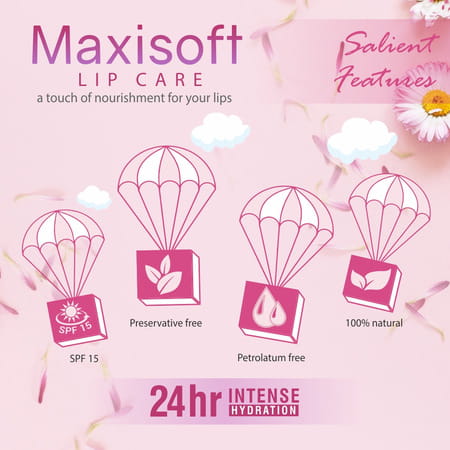 Maxisoft Lip Care Spf 15 | Drying & Chapping | 10 Gm | Pack Of 6