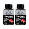 Earth King Power Shilajit/Shilajeet Capsule - 500 Mg 60 Capsules Pack Of 2