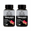 Earth King Power Shilajit/Shilajeet Capsule - 500 Mg 60 Capsules Pack Of 2