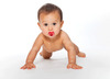 R For Rabbit Tusky Pacifier-M Red