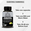 Earth King Garcinia Cambogia Capsule With Green Tea & Coffee Extract - 500mg 60 Capsules (Pack Of 2)