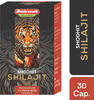 Baidyanath Asli Ayurved Shodhit Shilajit Capsule 30
