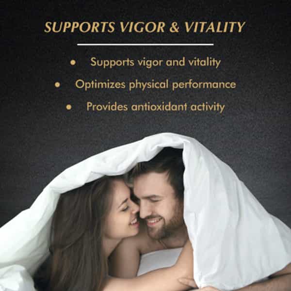 Baidyanath Asli Ayurved Shodhit Shilajit Capsule 30