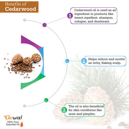 Go Woo 100% Pure Cedarwood Oil Virgin & Undiliuted 30 Ml