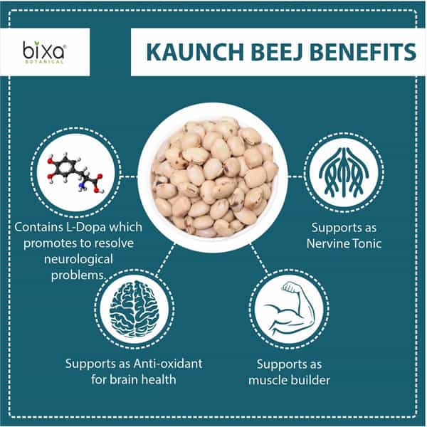 Bixa Botanical Kaunch Beej Powder(Mucuna Pruriens)-Natural Nervine Tonic & Muscle Builder(200G)
