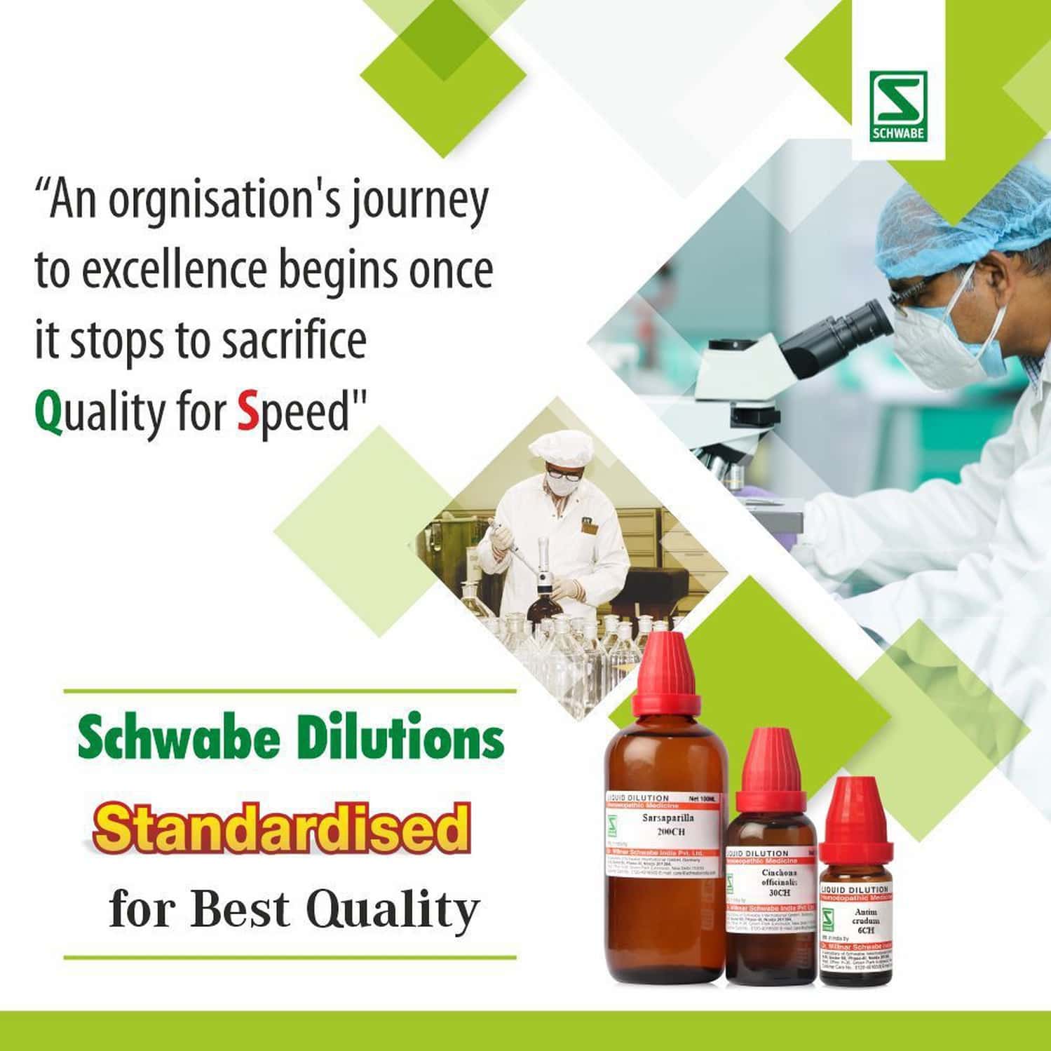 Buy DR.WILLMAR SCHWABE INDIA EQUISETUM HYEMALE 30 CH DILUTION PACK OF 3 ...