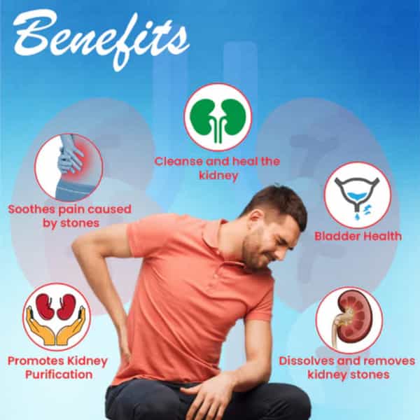 Cipzer Z Ambari 30 Capsules | Supports Kidney & Gallbladder Health