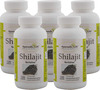 Ayurvedic Life Shilajit 120 Capsules (Pack Of 5) Natural