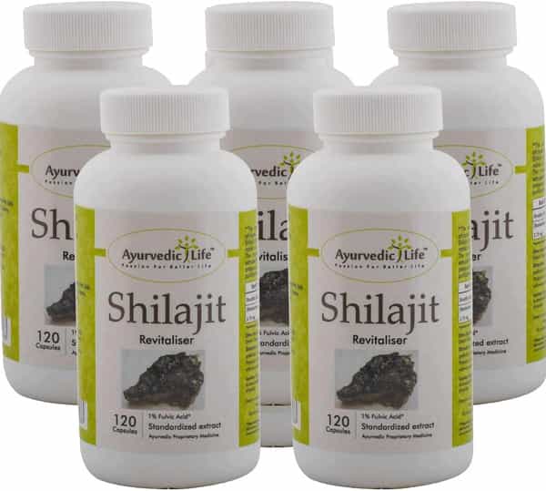 Ayurvedic Life Shilajit 120 Capsules (Pack Of 5) Natural