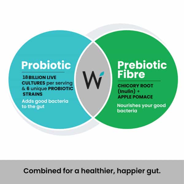Wellbeing Nutrition Daily Probiotic+Prebiotic Plant Based 18 Billion Cfu 6 Strains Pack Of 6X21 Tab