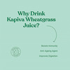 Kapiva Aloe Vera Juice (1L)+ Wheatgrass Juice(1L)|Better Digestion | General Wellness |Skin Care
