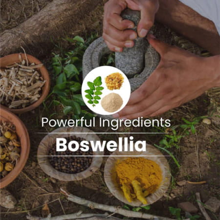 Cipzer Boswellia 60 Capsules | Supports Joint Health & Helps Relieve Arthritis & Body Pain
