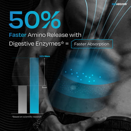 Nutrabay Bioabsorb Whey Protein Powder | Prodifi Blend | 26g Per Scoop | Kesar Badam Pista - 500g