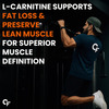Carbamide Forte L-Carnitine Supplement 1000Mg With L Tartrate-120 Capsules