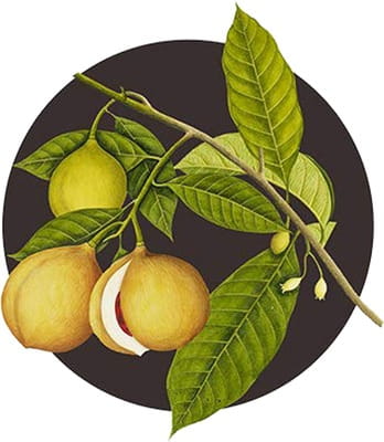 View product image 3