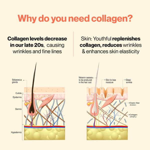 Rose Water & Collagen Combo Pack | Rose Water Hydrating & Marine Collagen Powderpeach Mango Flavour