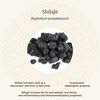 Amarantha Shilajit Capsule (Pack Of 2)