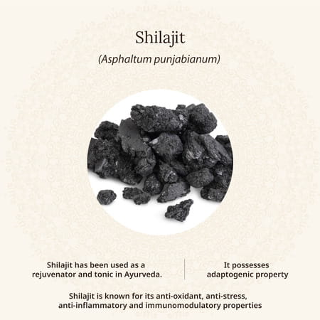 Amarantha Shilajit Capsule (Pack Of 2)