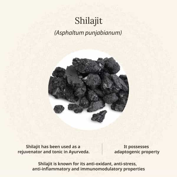 Amarantha Shilajit Capsule (Pack Of 2)