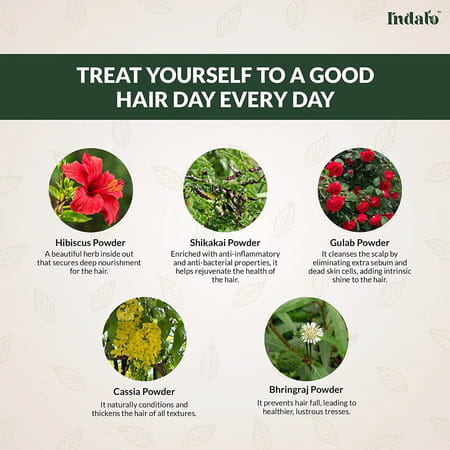 Indalo All-natural Hair Treatment Pack Enriched With Bhringraj And Shikakai - 100g (pack Of 3)