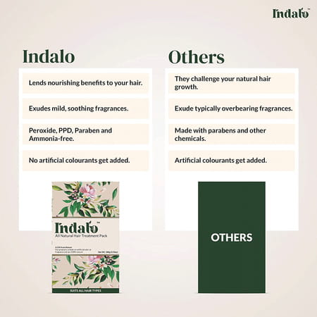 Indalo All-Natural Hair Treatment Pack Enriched With Bhringraj And Shikakai - 100G (Pack Of 3)