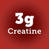 In2 Muscle Mass Gainer 1Kg Bulk Up With 3G Creatine Rich Chocolate 10 Servings