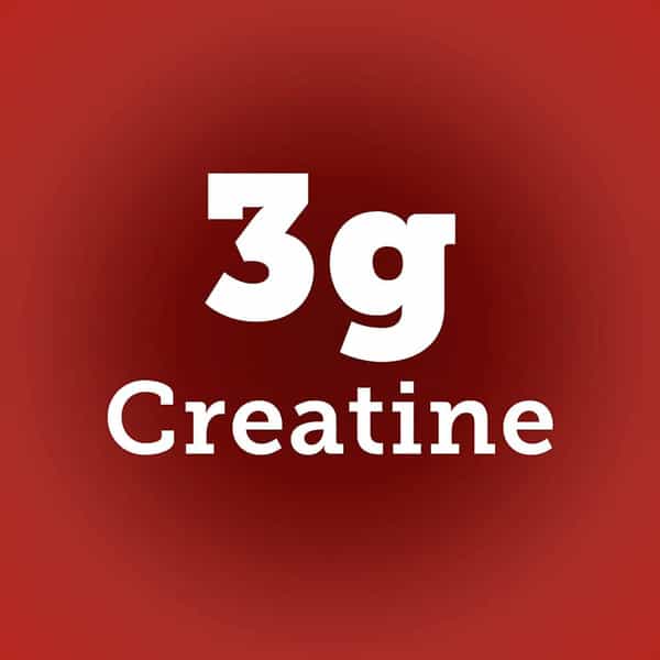 In2 Muscle Mass Gainer 1Kg Bulk Up With 3G Creatine Rich Chocolate 10 Servings