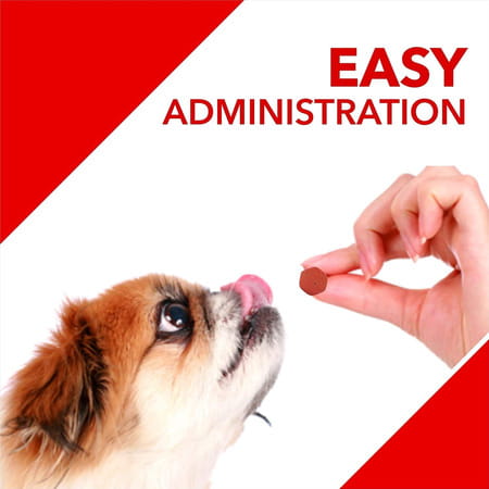 Drools Absolute Calcium Tablet - Dog Supplement 110 Pieces