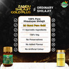 Zandu Shilajit Gold Plus Capsules 20 No's