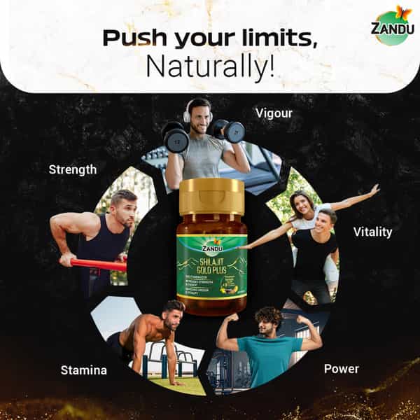 Zandu Shilajit Gold Plus Capsules 20 No's