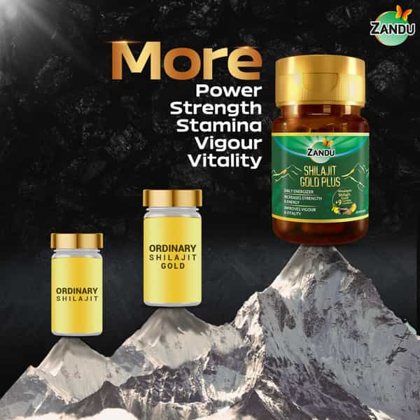 Zandu Shilajit Gold Plus Capsules 20 No's
