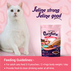 Purrfeto Adult Wet Cat Food | Tuna Platter In Jelly |80 Gms (Pack Of 12)