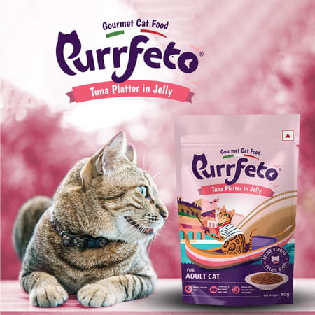 Purrfeto Adult Wet Cat Food | Tuna Platter In Jelly |80 Gms (Pack Of 12)
