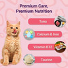 Purrfeto Adult Wet Cat Food | Tuna Platter In Jelly |80 Gms (Pack Of 12)