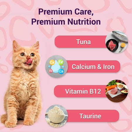 Purrfeto Adult Wet Cat Food | Tuna Platter In Jelly |80 Gms (Pack Of 12)