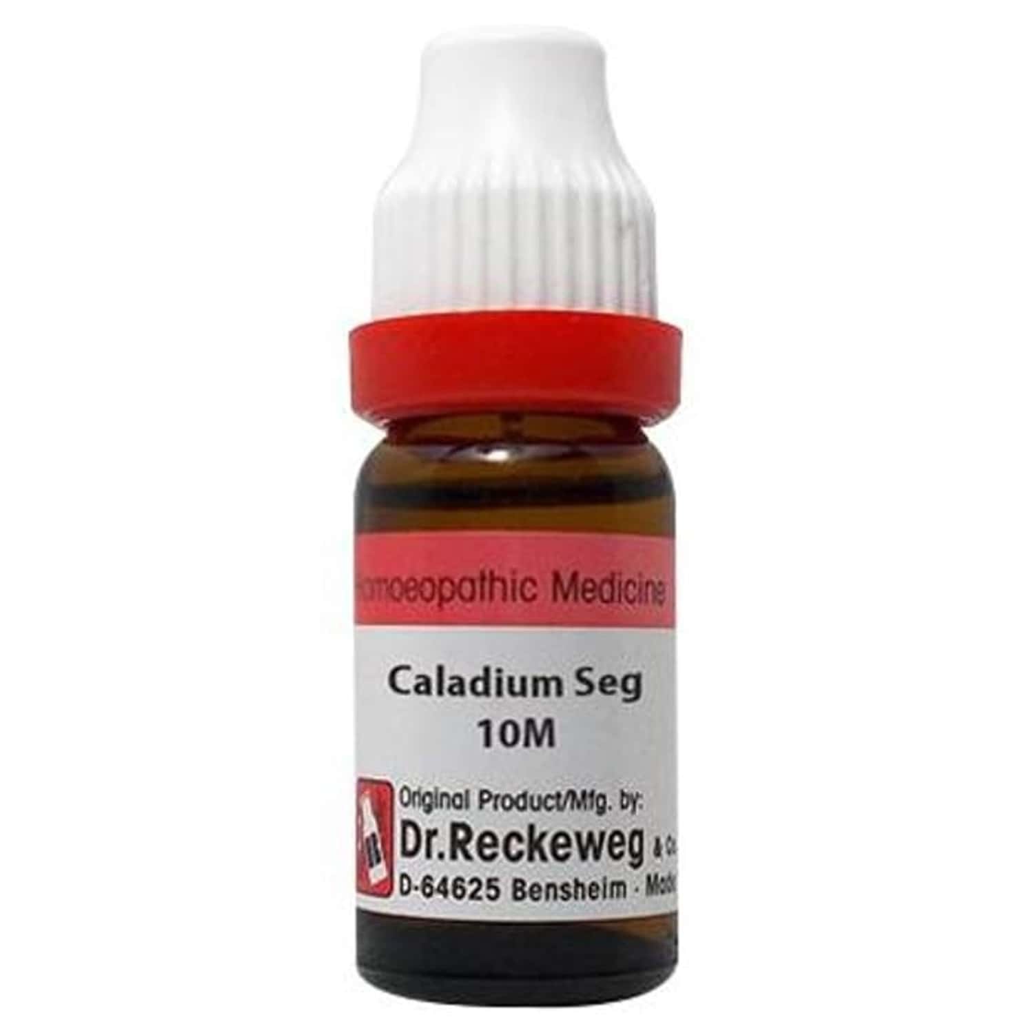Dr. Reckeweg Caladium Seg Dilution 10m Ch 11 Ml