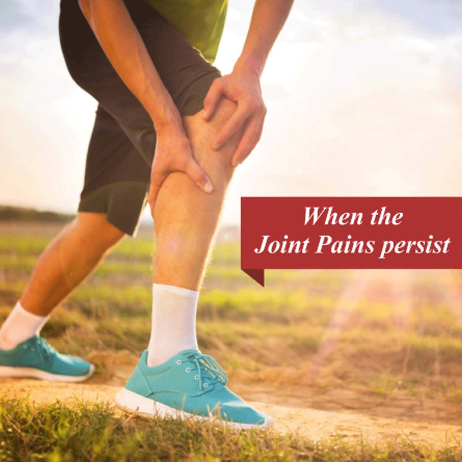 Buy BAIDYANATH NAGPUR MAHANARAYAN TEL AYURVEDIC OIL FOR JOINTS