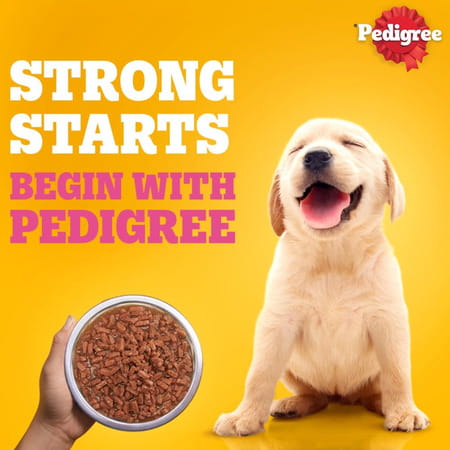 Pedigree Puppy Wet Dog Food | Chicken Chunks In Gravy | 70 G (Pack Of 30)