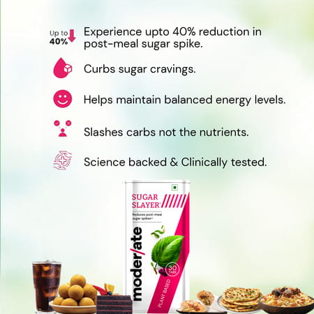 Moderate Sugar Slayer - Ayurvedic Sugar 30 Tablets