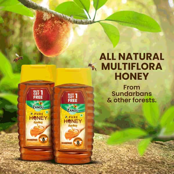 Zandu Pure Honey Squ-Easy (Buy 1 Get 1 Free) - 800 Gm