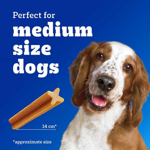 Pedigree Dentastix Oral Care Dog Treat | Adult Medium Breed (10-25 Kg) | 2.88 Kg (Pack Of 16)