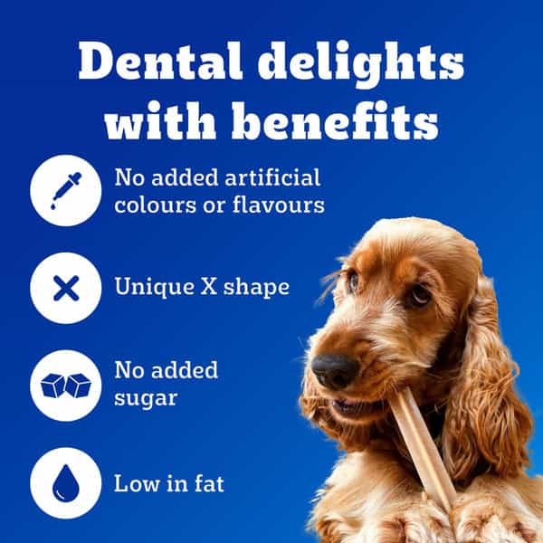 Pedigree Dentastix Oral Care Dog Treat | Adult Medium Breed (10-25 Kg) | 2.88 Kg (Pack Of 16)