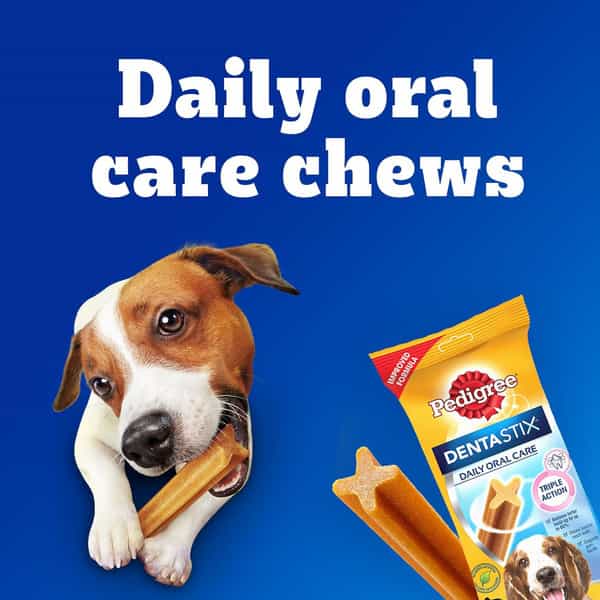 Pedigree Dentastix Oral Care Dog Treat | Adult Medium Breed (10-25 Kg) | 2.88 Kg (Pack Of 16)