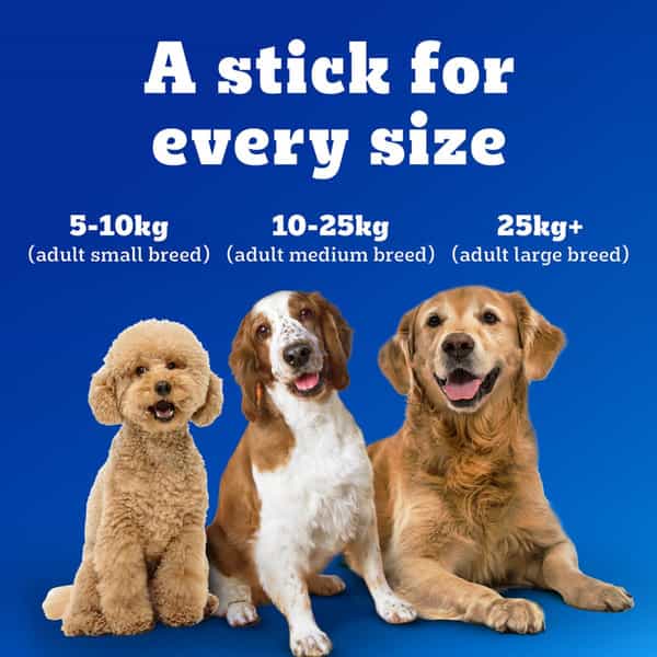 Pedigree Dentastix Oral Care Dog Treat | Adult Medium Breed (10-25 Kg) | 2.88 Kg (Pack Of 16)