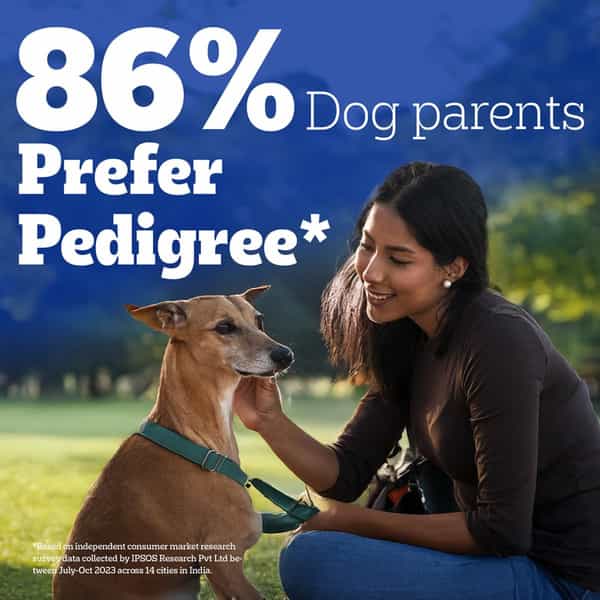 Pedigree Dentastix Oral Care Dog Treat | Adult Medium Breed (10-25 Kg) | 2.88 Kg (Pack Of 16)
